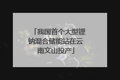我国首个大型锂钠混合储能站在云南文山投产