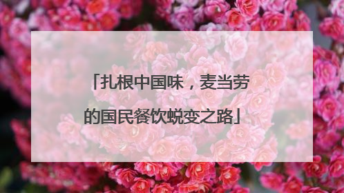 扎根中国味，麦当劳的国民餐饮蜕变之路