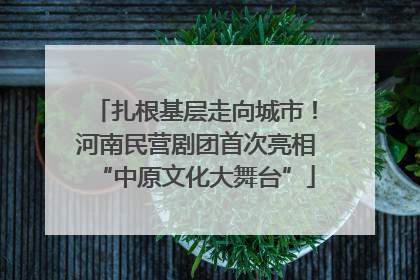 扎根基层走向城市！河南民营剧团首次亮相“中原文化大舞台”