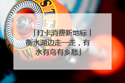 打卡消费新地标丨衡水湖边走一走，有水有鸟有乡愁