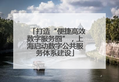 打造“便捷高效数字服务圈”，上海启动数字公共服务体系建设