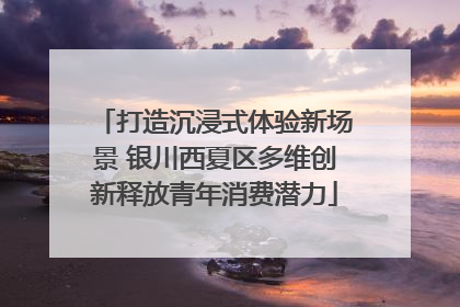打造沉浸式体验新场景 银川西夏区多维创新释放青年消费潜力