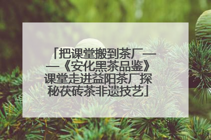 把课堂搬到茶厂——《安化黑茶品鉴》课堂走进益阳茶厂探秘茯砖茶非遗技艺