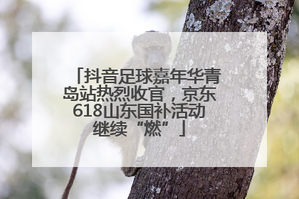 抖音足球嘉年华青岛站热烈收官，京东618山东国补活动继续“燃”
