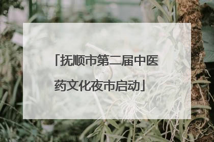 抚顺市第二届中医药文化夜市启动