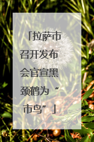 拉萨市召开发布会官宣黑颈鹤为“市鸟”