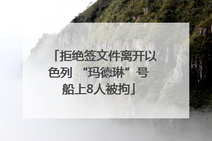 拒绝签文件离开以色列 “玛德琳”号船上8人被拘