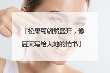 松果菊翩然盛开，像夏天写给大地的情书