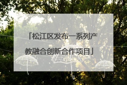 松江区发布一系列产教融合创新合作项目