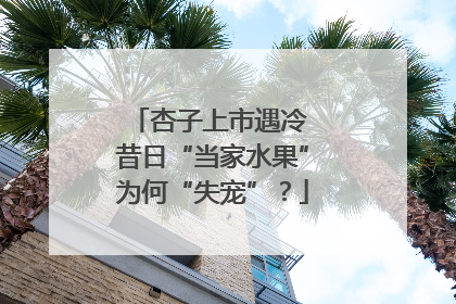 杏子上市遇冷 昔日“当家水果”为何“失宠”？