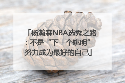 杨瀚森NBA选秀之路：不是“下一个姚明” 努力成为最好的自己