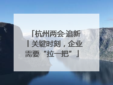 杭州两会·追新丨关键时刻，企业需要“拉一把”