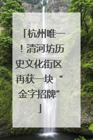 杭州唯一！清河坊历史文化街区再获一块“金字招牌”