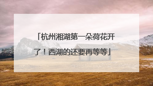 杭州湘湖第一朵荷花开了！西湖的还要再等等