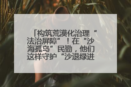 构筑荒漠化治理“法治屏障”！在“沙海孤岛”民勤，他们这样守护“沙退绿进”的生态奇迹