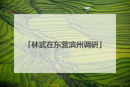 林武在东营滨州调研