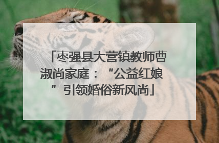 枣强县大营镇教师曹淑尚家庭：“公益红娘”引领婚俗新风尚
