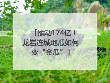 撬动174亿！龙岩连城地瓜如何变“金瓜”