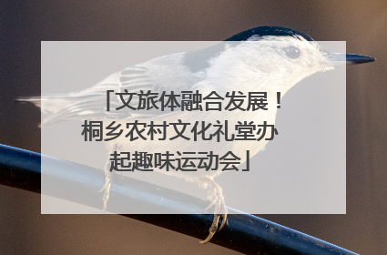文旅体融合发展！桐乡农村文化礼堂办起趣味运动会
