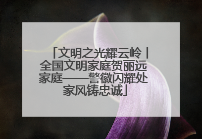文明之光耀云岭丨全国文明家庭贺丽远家庭——警徽闪耀处 家风铸忠诚