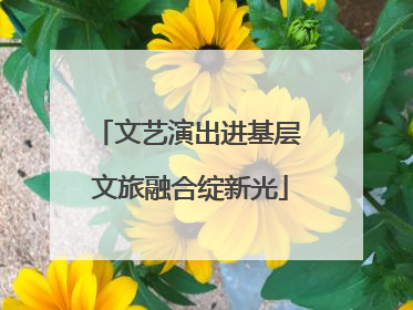 文艺演出进基层 文旅融合绽新光