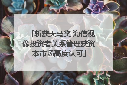 斩获天马奖 海信视像投资者关系管理获资本市场高度认可