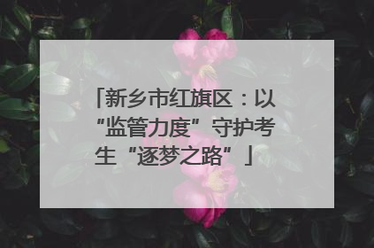 新乡市红旗区：以“监管力度”守护考生“逐梦之路”