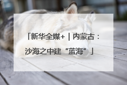 新华全媒+｜内蒙古：沙海之中建“蓝海”