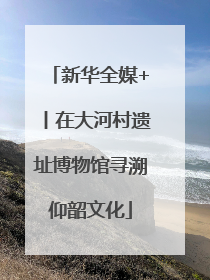 新华全媒+丨在大河村遗址博物馆寻溯仰韶文化