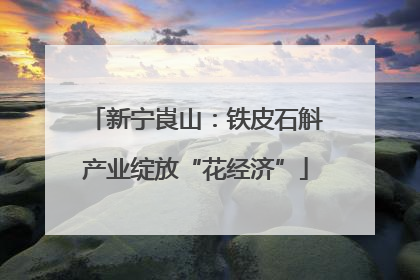 新宁崀山：铁皮石斛产业绽放“花经济”