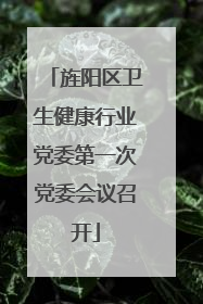 旌阳区卫生健康行业党委第一次党委会议召开