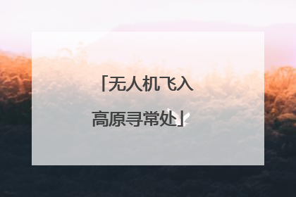 无人机飞入高原寻常处