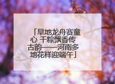 旱地龙舟赛童心 千粽飘香传古韵——河南多地花样迎端午