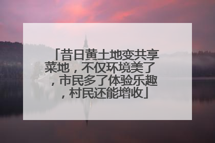 昔日黄土地变共享菜地，不仅环境美了，市民多了体验乐趣，村民还能增收
