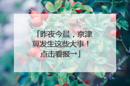 昨夜今晨，京津冀发生这些大事！点击看报→