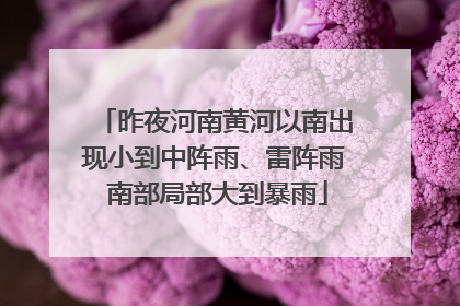 昨夜河南黄河以南出现小到中阵雨、雷阵雨 南部局部大到暴雨