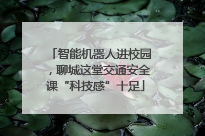 智能机器人进校园，聊城这堂交通安全课“科技感”十足