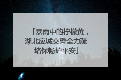 暴雨中的柠檬黄，湖北应城交警全力疏堵保畅护平安