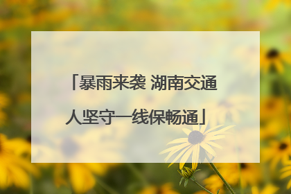 暴雨来袭 湖南交通人坚守一线保畅通