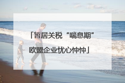 暂居关税“喘息期” 欧盟企业忧心忡忡