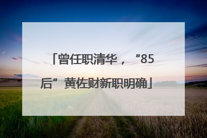 曾任职清华，“85后”黄佐财新职明确