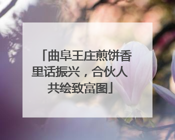 曲阜王庄煎饼香里话振兴，合伙人共绘致富图
