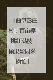 曲阜彭庄村：百亩樱桃红满枝 硕果盈园采摘忙