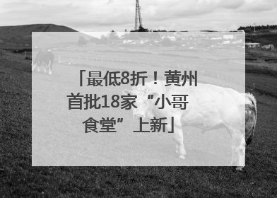 最低8折！黄州首批18家“小哥食堂”上新