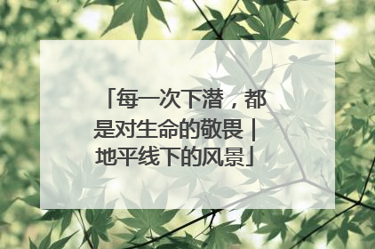 每一次下潜，都是对生命的敬畏｜地平线下的风景