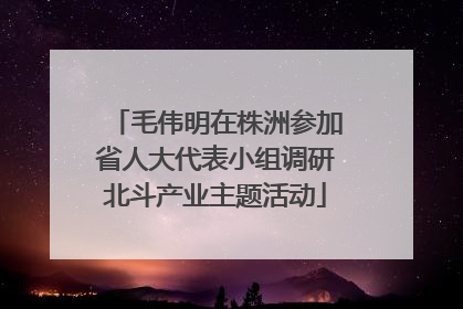 毛伟明在株洲参加省人大代表小组调研北斗产业主题活动