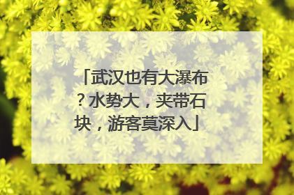 武汉也有大瀑布？水势大，夹带石块，游客莫深入