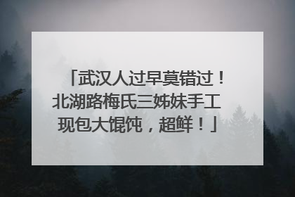 武汉人过早莫错过！北湖路梅氏三姊妹手工现包大馄饨，超鲜！