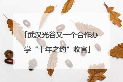 武汉光谷又一个合作办学“十年之约”收官