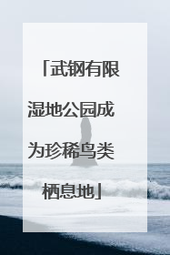 武钢有限湿地公园成为珍稀鸟类栖息地